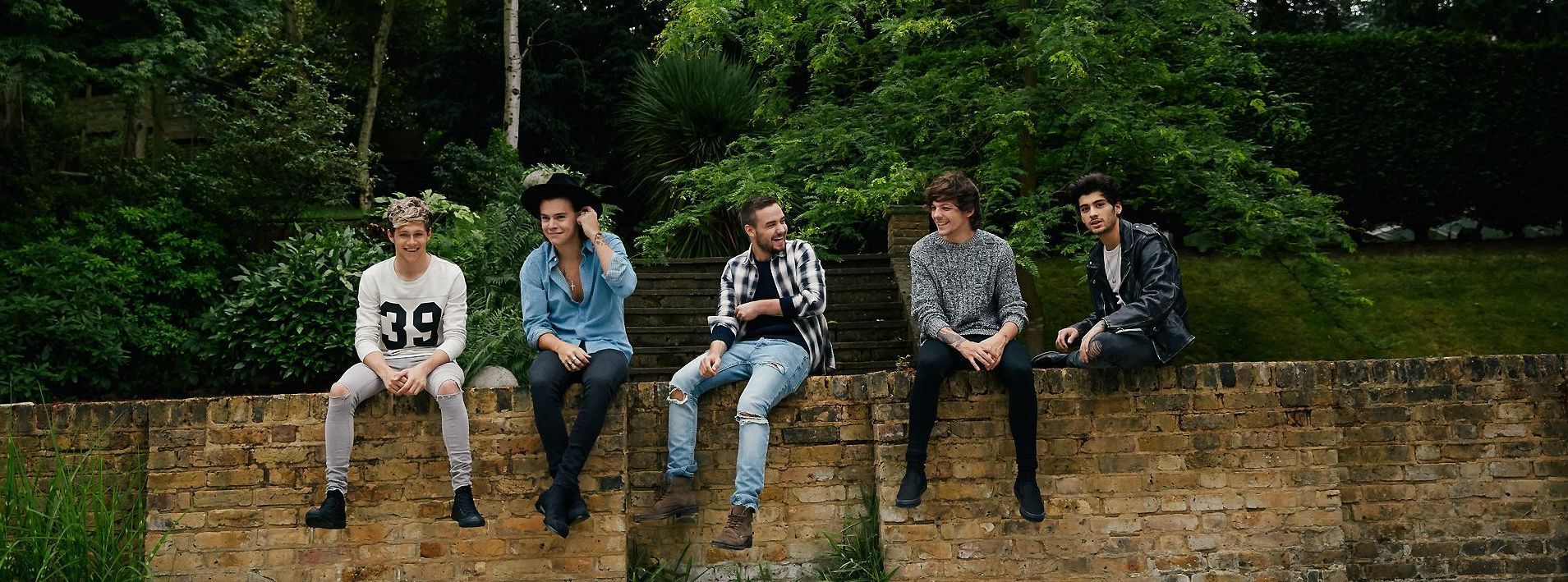 Fondo de One Direction